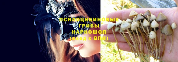 ешки Дмитров