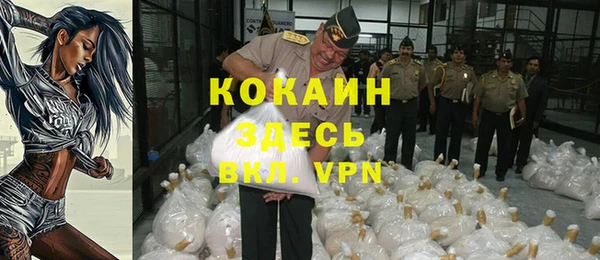 индика Дмитровск
