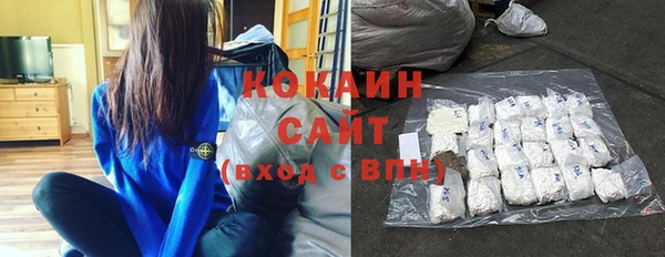 винт Дмитриев