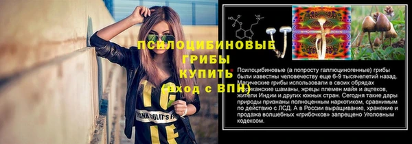 прущая мука Елизово